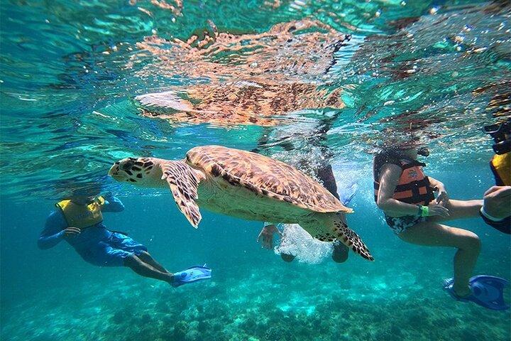 Speedboat and Snorkel Cancun Adventure with Transportation