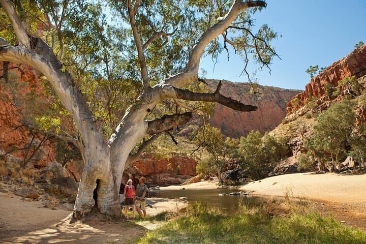 West MacDonnell Ranges National Park Tour from Alice Springs