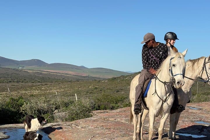 West Coast farm and nature ride