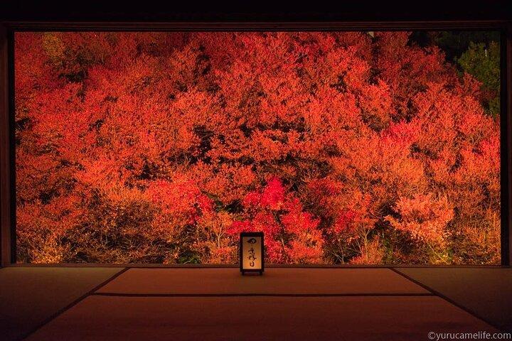 1Night and 2Days Trip to Kinosaki Onsen and Temple