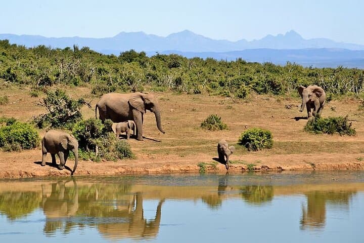 Nairobi Highlights Shared Day Tour by 4WD