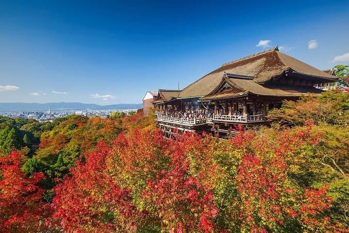 Kansai Shared Day Tour in Fushimi Inari Shrine and Kiyomizudera