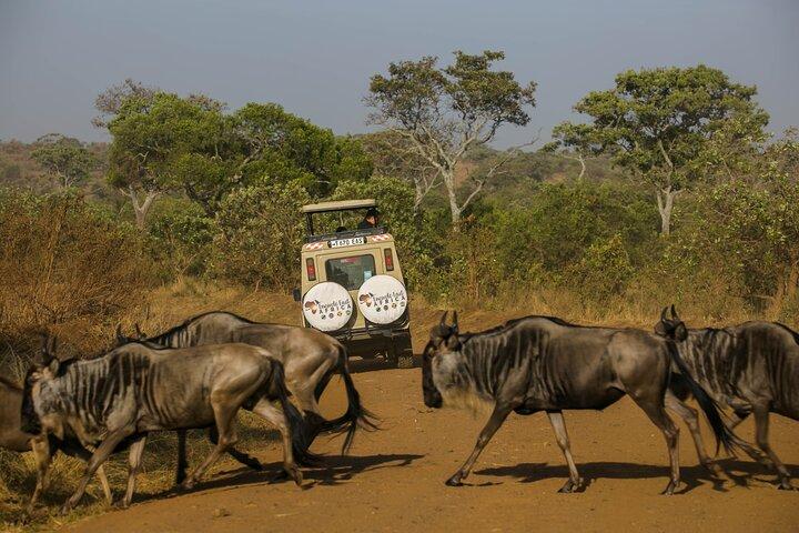 4 Days Masai Cultural Experience Northern Tanzania