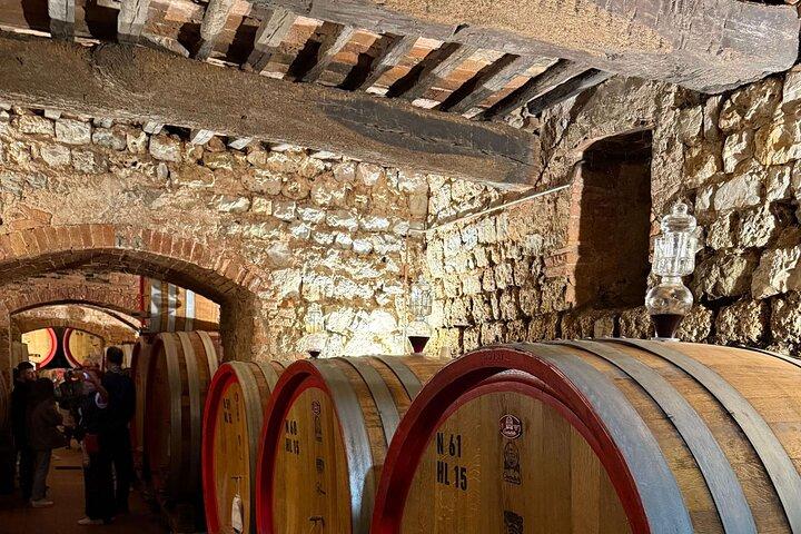 Chianti Half Day Wine Tasting Tour from Siena