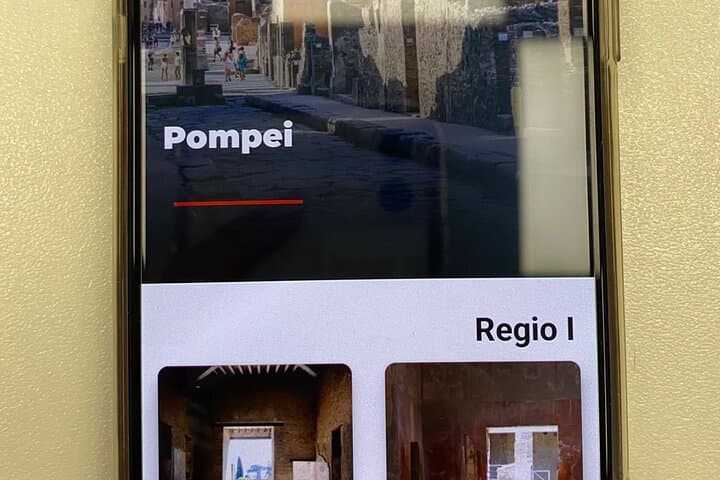 Pompeii: Entrance ticket (art) + audioguide + map