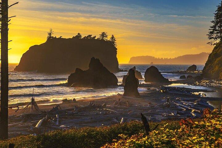 From Seattle Rainforest and Olympic National Park Highlight