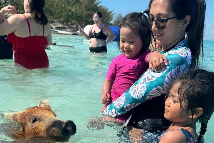 Swim with Pigs & Beach Snorkeling with Turtle Viewing Rose Island