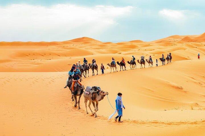 Private Desert Safari Dubai with BBQ Dinner upto 6 person