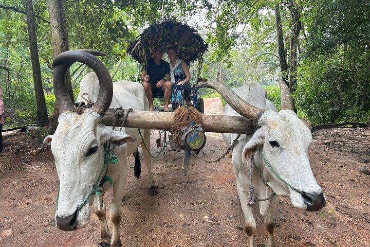 All of Sri Lanka within 10 Days