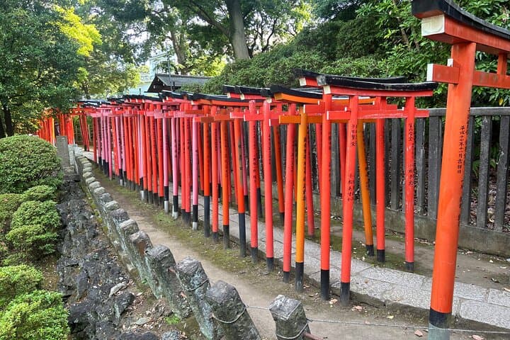 Tokyo: Traditional Backstreets Yanaka Walking Tour