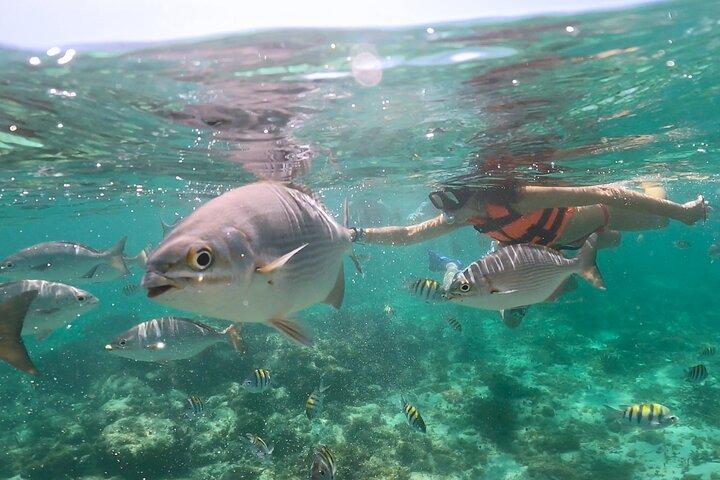 Speedboat and Snorkeling in Cancun with Mayan Ceremony & Tasting