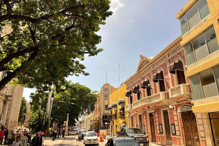 Discover the Historic Center of Merida