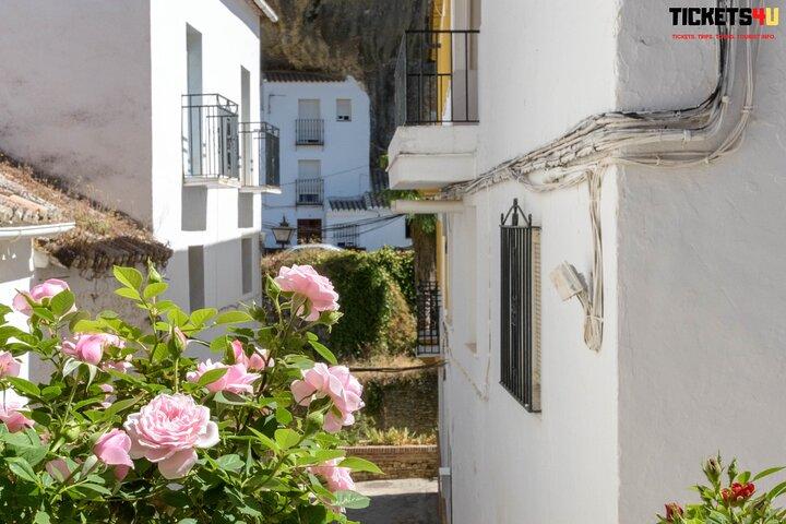 Day in Pueblos Blancos and Ronda from Seville/ Small groups