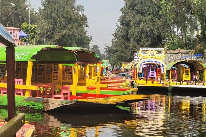 Private/Shared Tour Xochimilco Coyoacán optional Frida Kahlo