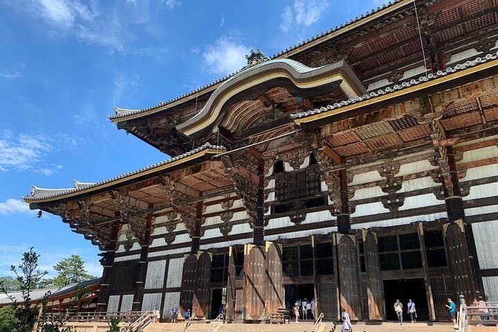 Osaka / Kyoto: Todai-ji, Nara Park, Fushimi Inari and Byodo-in