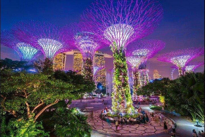 Private Memorable Night City Tour in Singapore with River Cruise