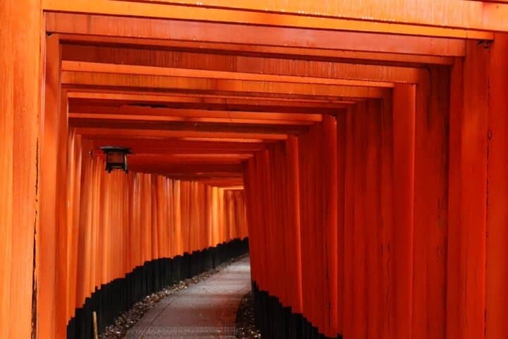 Kyoto Early Bird Tour in Uji and Fushimi Inari