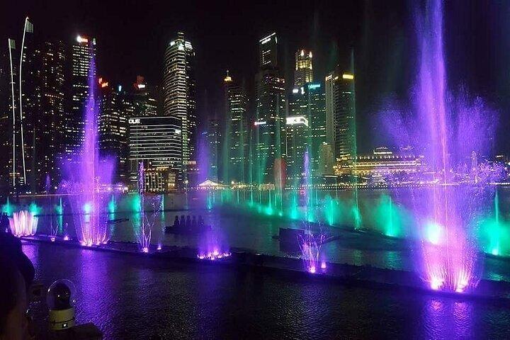 Private Memorable Night City Tour in Singapore with River Cruise