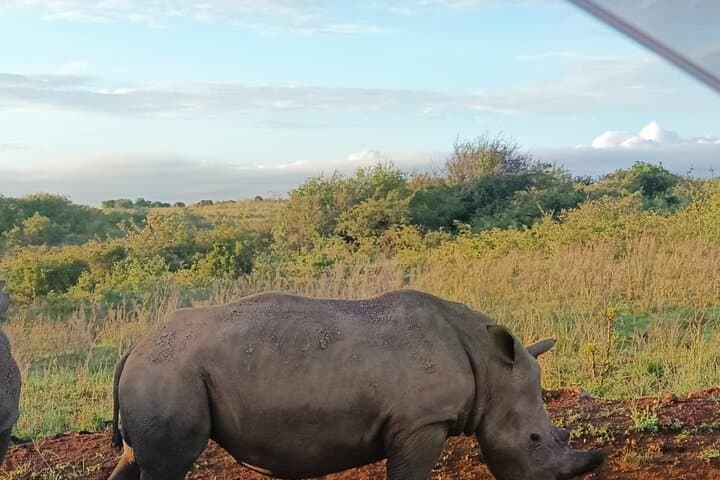 Nairobi National Park Game Carnivore Restaurant Lunch or Dinner