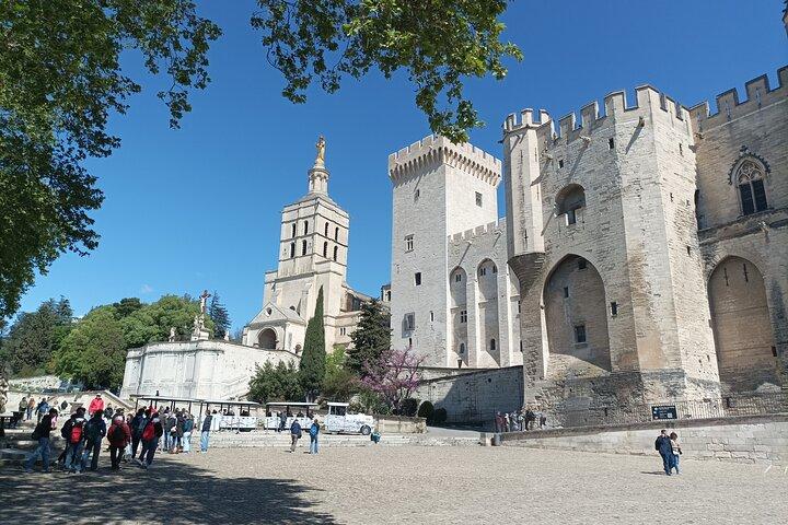 Private tour in Avignon and Pont du Gard