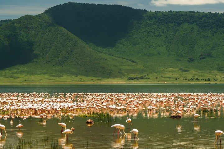 Zanzibar: 2-Day Private Magical Ngorongoro Crater Safari