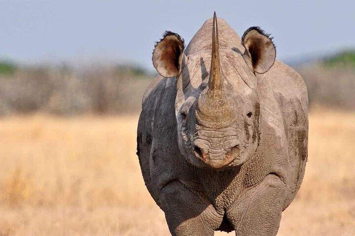 3 Days Luxury Tour at Tanzania Safari Manyara Ngorongoro