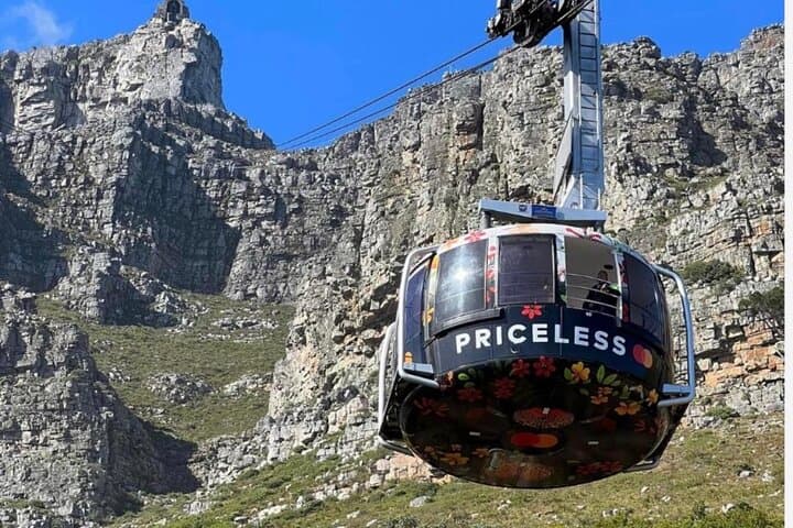 Table Mountain and Boulder Penguins Half Day Tour