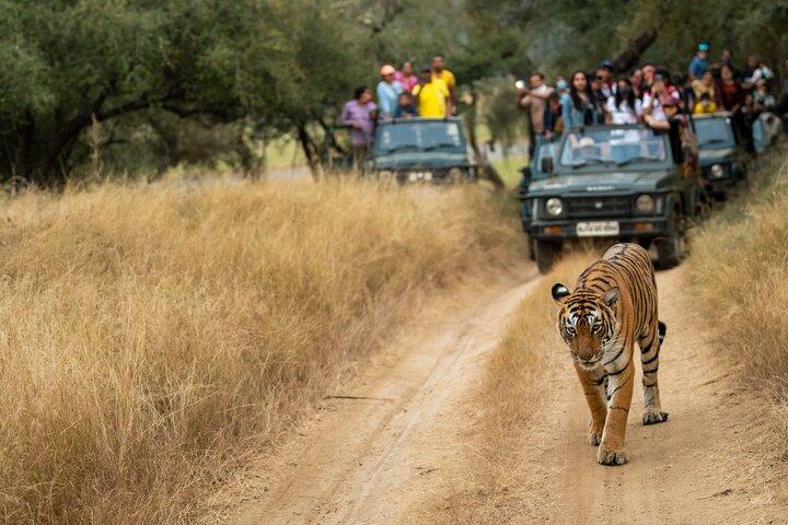 Kathmandu: 3 Days Chitwan Jungle Safari Private Tour
