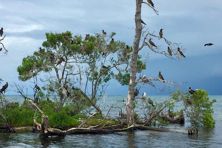 Island Hopping Tour from Hopkins Belize