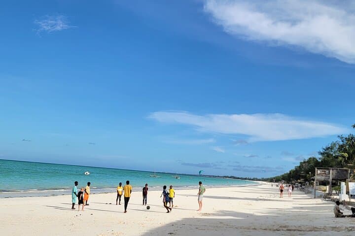 Jozani Forest ,Kuza Cave,Paje beach&the Rock Private Tour