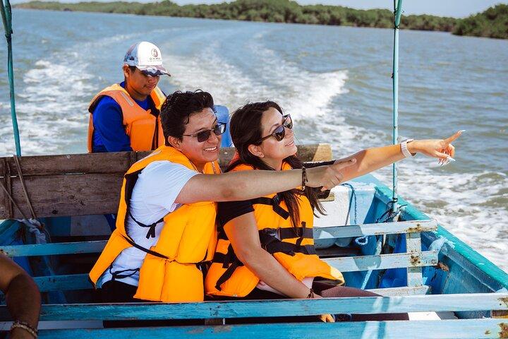 Full Day Dolphins Mangroves and Birdwatching Tour from Guayaquil