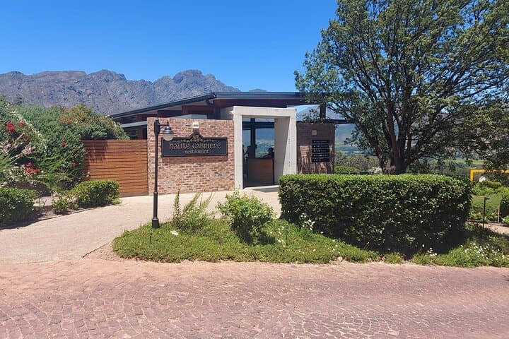 Cape Wine Experience Full-Day Tour!
