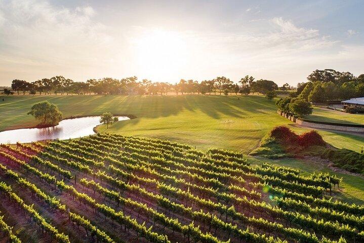 Swan Valley River Cruise and Wine Tasting Day Trip from Perth