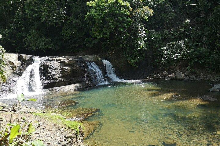 Cahuita National Park Nature Walk & Waterfall Tour