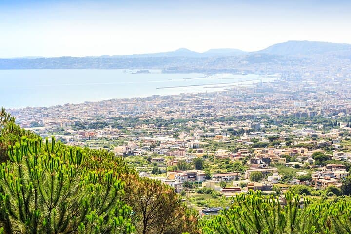 Pompeii and Vesuvius Combo Tour with Local Guide