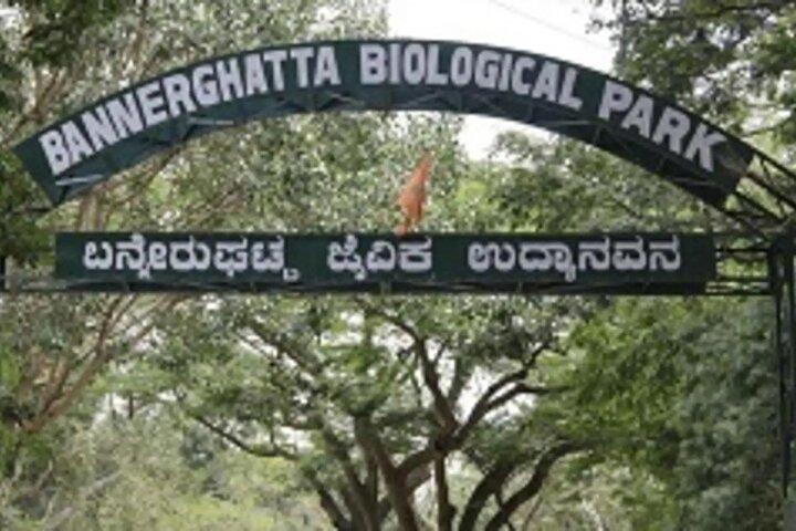 From Bangalore: Bannerghatta Park & City Sights Private Tour