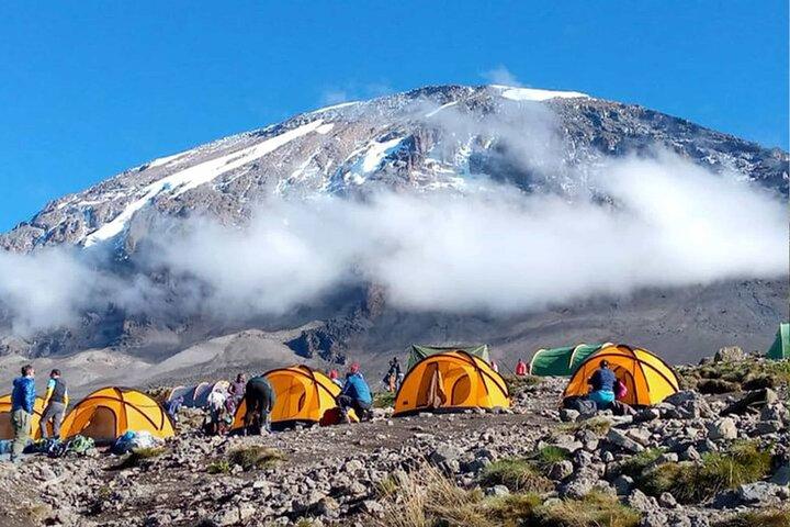 Kilimanjaro 7 Day Private Tour with Meals