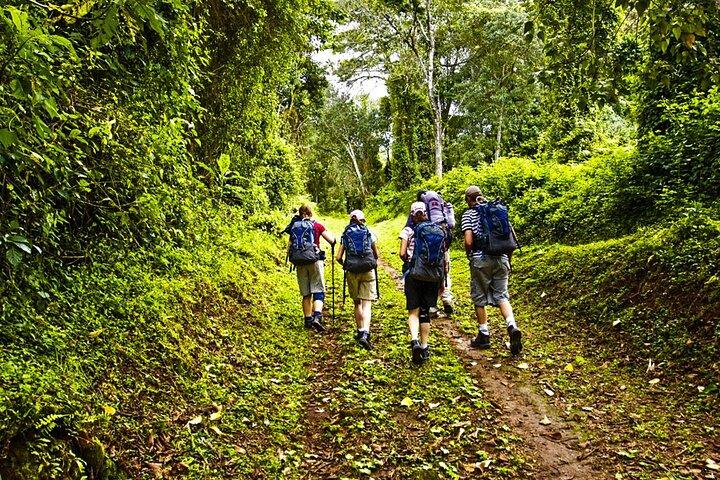 6 Days Kilimanjaro Climb via Marangu Route with Acclimatization