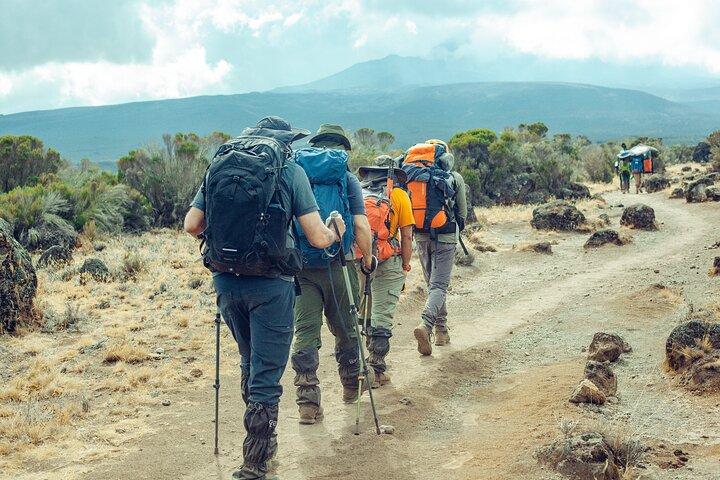 6 Days Kilimanjaro Climb via Marangu Route with Acclimatization