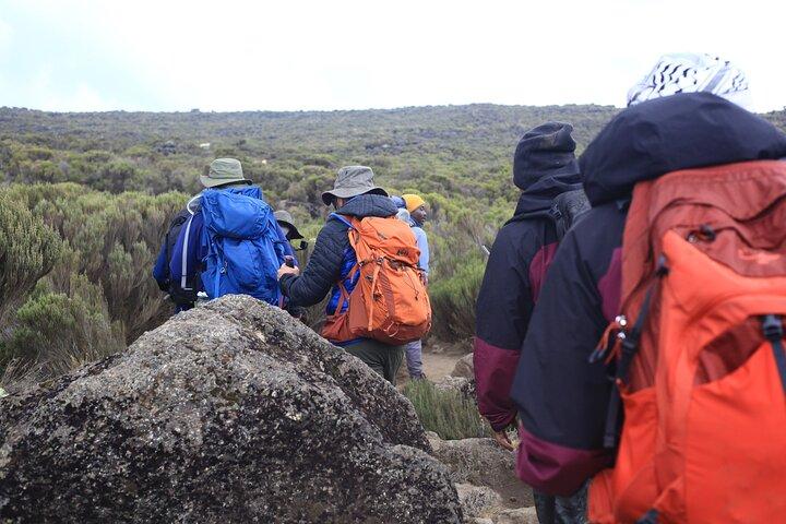 6 Days Kilimanjaro Climb via Marangu Route with Acclimatization