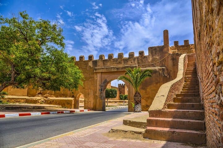 Taroudant Half-Day excursion : Medina+ Souk & Goats in argan Tree