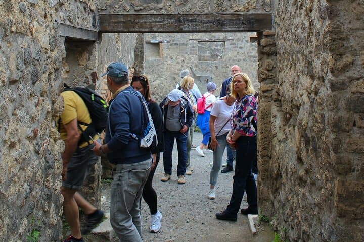 Private Pompeii Tour With Guide and Transfer Included