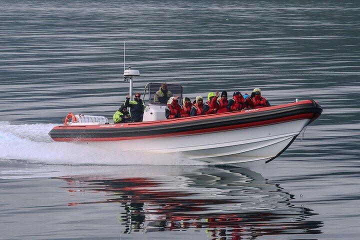Express Whale Watching in Dalvik close to Akureyri north Iceland