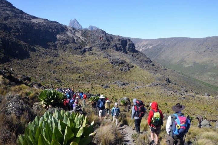 Mt. Kenya Expedition Private 4-Day Multi-day Tours