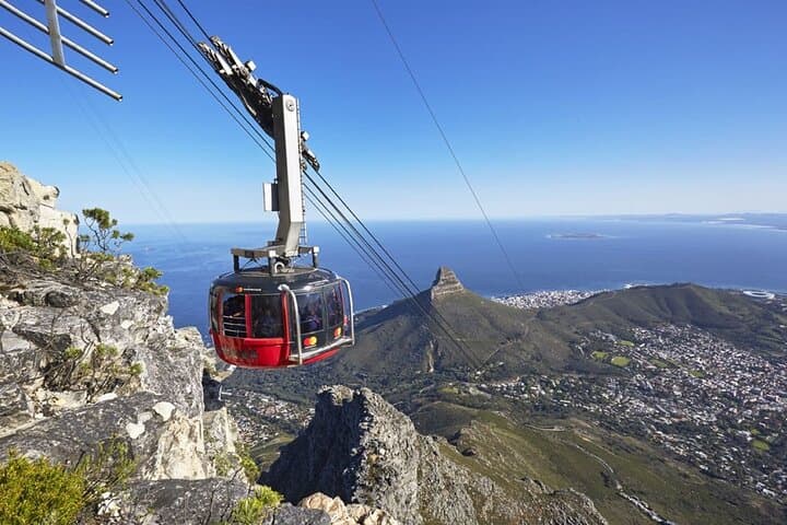 Table Mountain and Boulder Penguins Half Day Tour