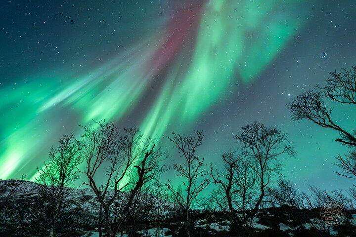 Minibus Northern Lights Chase with Photography from Tromsø