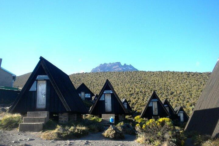 Kilimanjaro 7 Day Private Tour with Meals