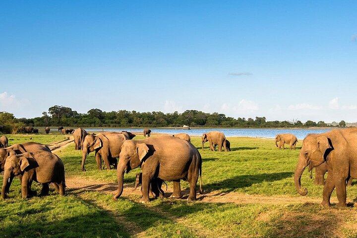 Best of Sri Lanka Private 5 Days Tour