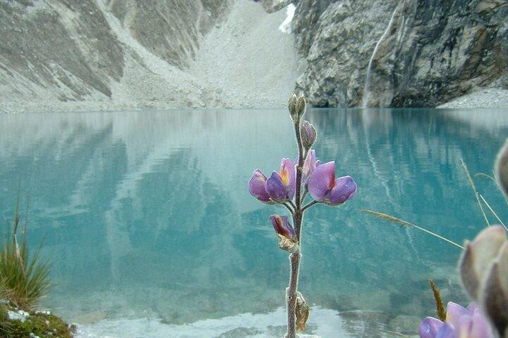 Laguna 69 Day Trek