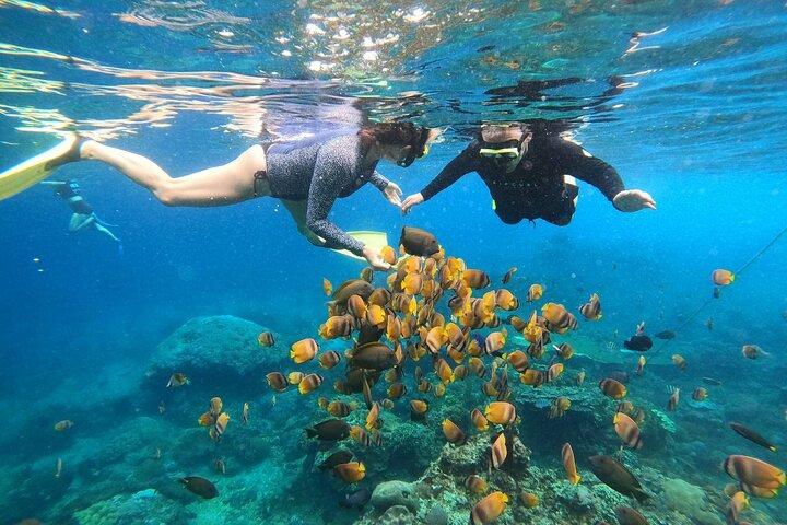 Full Day Nusa Penida Island with Snorkeling from Bali